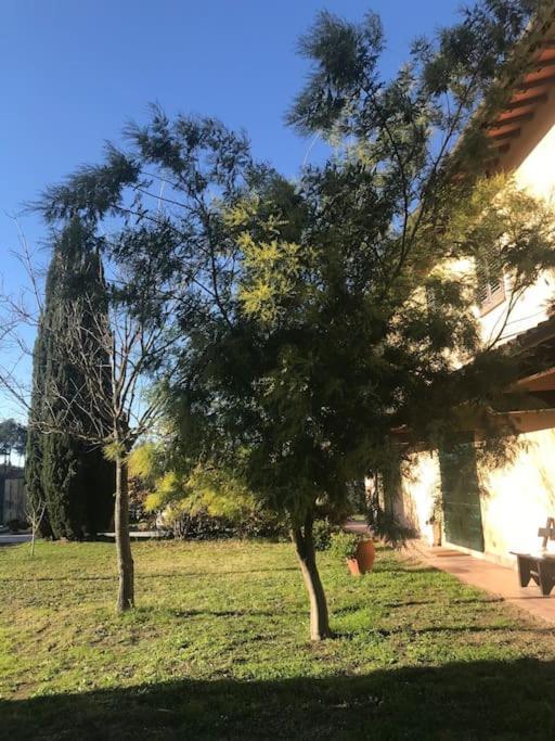 Canneto Casa Isabelle公寓 外观 照片