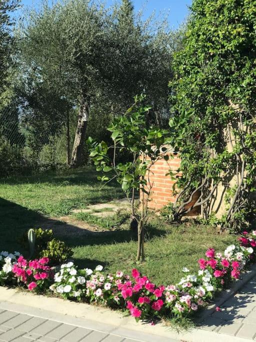 Canneto Casa Isabelle公寓 外观 照片