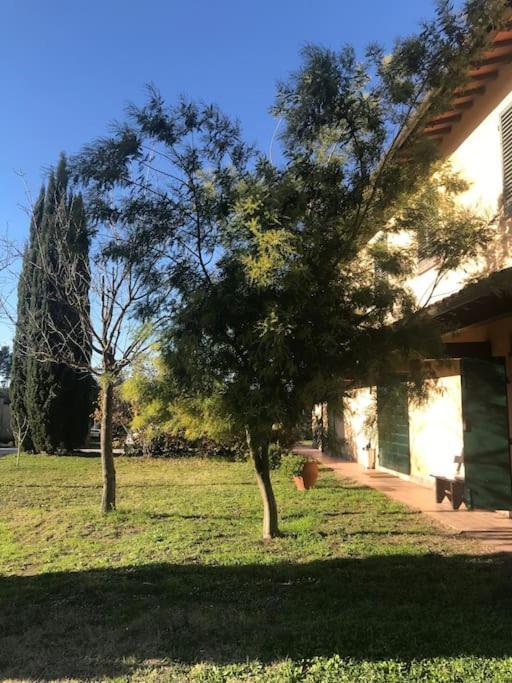 Canneto Casa Isabelle公寓 外观 照片