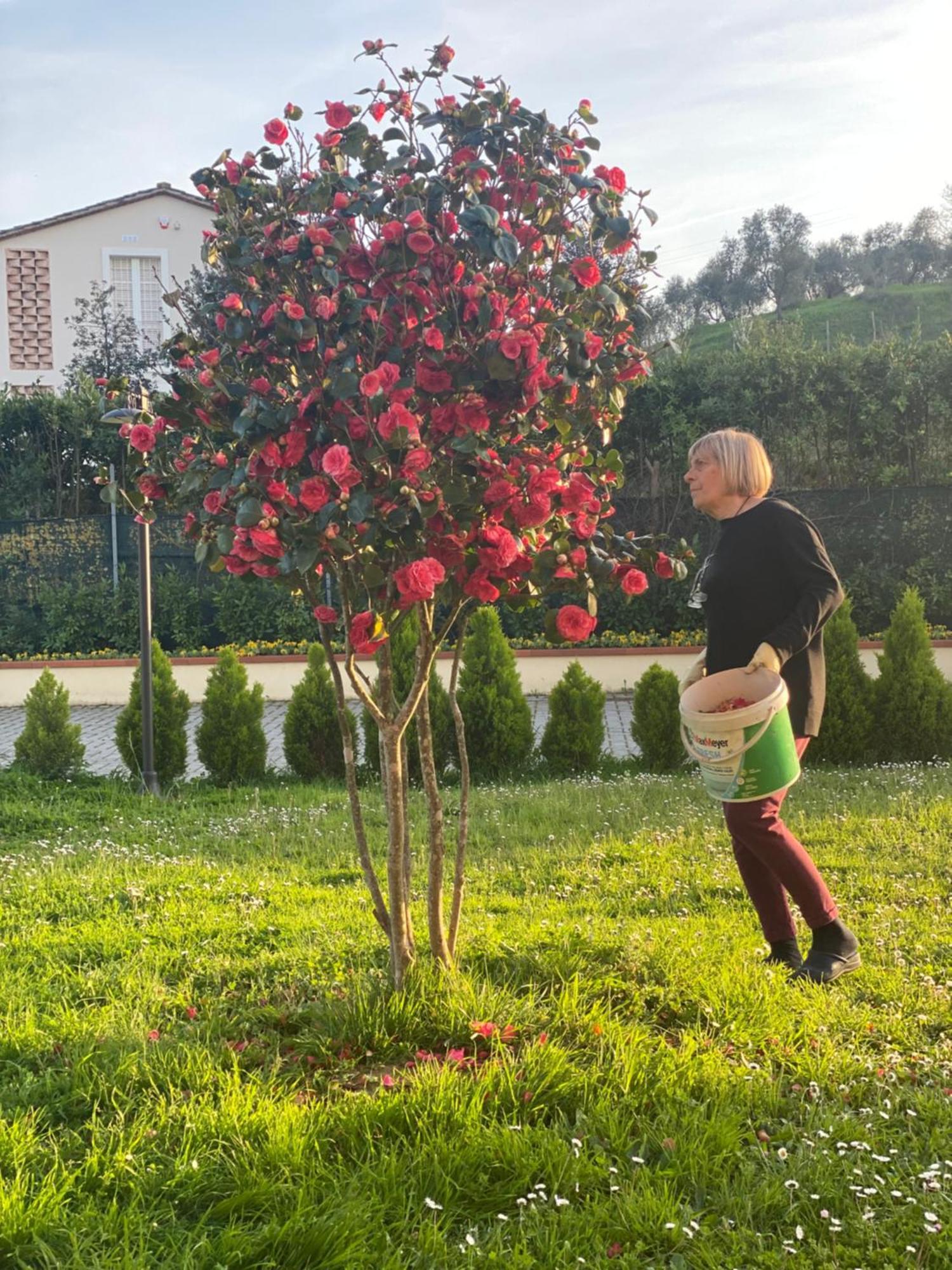 Canneto Casa Isabelle公寓 外观 照片